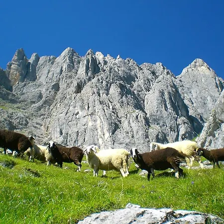 Appartamento Haus Mitterlechner Mühlbach am Hochkönig