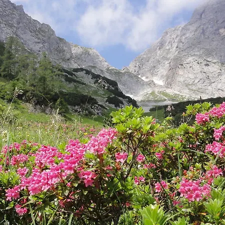 Appartamento Haus Mitterlechner Mühlbach am Hochkönig